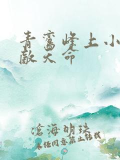 青鸾峰上小说无敌天命