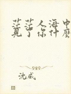 茫茫人海中我遇见了你什么歌