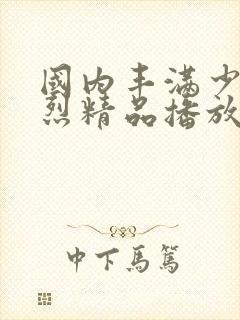 国内丰满少妇猛烈精品播放