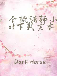 全职法师小说txt下载完本