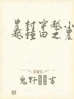 农村穿越小说穿越种田之农家女