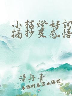 小桔灯好词好句摘抄及感悟