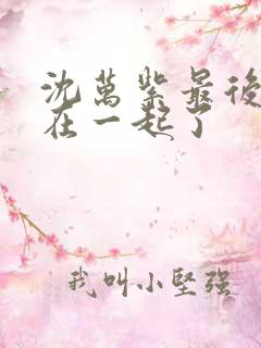 沈万紫最后和谁在一起了