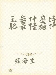 玉米什么时候施肥最佳施什么肥最好