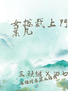 女总裁上门女婿叶凡