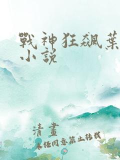 战神狂飙叶无缺小说