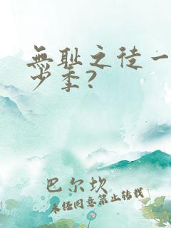 无耻之徒一共多少季?