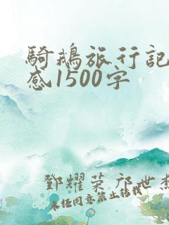 骑鹅旅行记读后感1500字