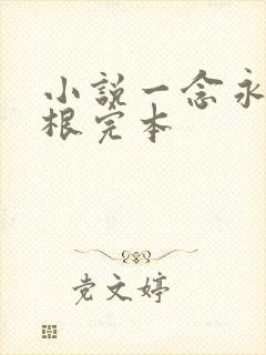 小说一念永恒耳根完本