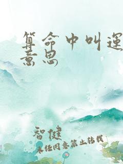 算命中叫运什么意思