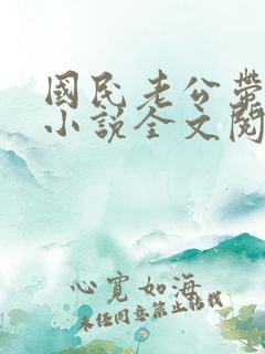 国民老公带回家小说全文阅读