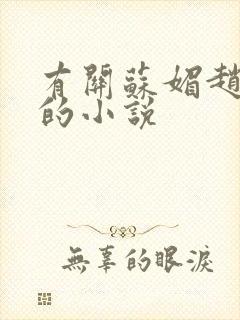 有关苏媚赵春城的小说