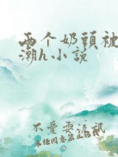 两个奶头被捏高潮h小说