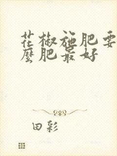 花椒施肥要施什么肥最好
