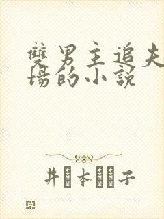 双男主追夫火葬场的小说
