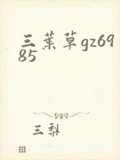 三叶草gz6985