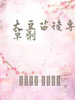 大豆苗后专用除草剂