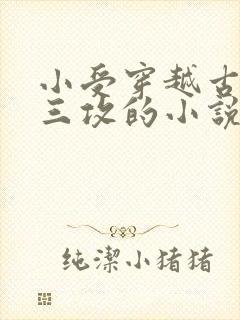 小受穿越古代有三攻的小说