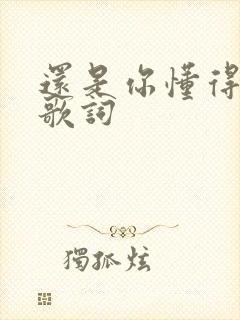 还是你懂得爱我歌词