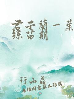 君子兰一叶小苗练苗期