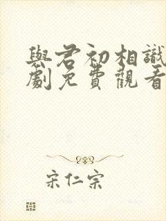 与君初相识电视剧免费观看完整版在线