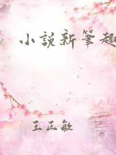 小说新笔趣阁