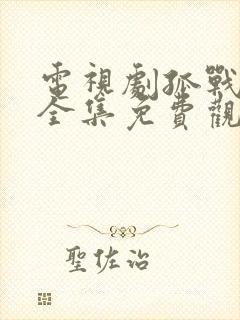电视剧孤战迷城全集免费观看高清