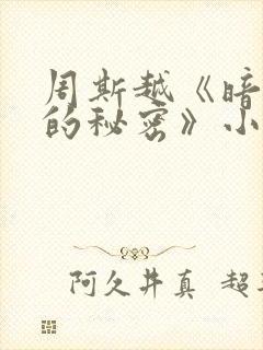 周斯越《暗格里的秘密》小说 周斯越《暗格里的秘密》小说