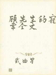 顾先生的宠妻日常全文