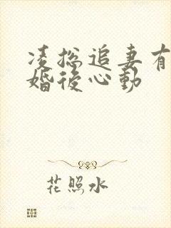凌总追妻有点甜婚后心动