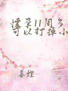 怀孕11周多还可以打掉小孩吗