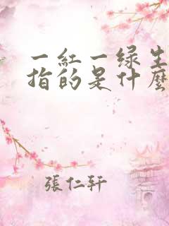 一红一绿生肖出指的是什么肖