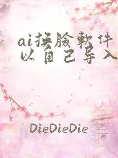 ai换脸软件可以自己导入视频