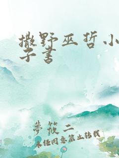 撒野巫哲小说电子书