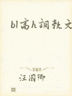 bl高h调教文