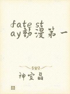 fate stay动漫第一季免费观看