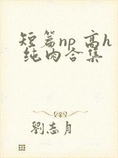 短篇np 高h 纯肉合集