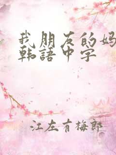 我朋友的妈妈2韩语中字