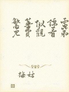 繁华似锦电视剧免费观看第11集