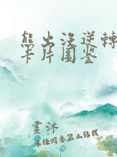熊出没逆转时空卡片图鉴