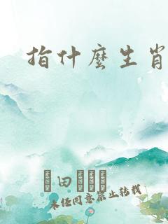 指什么生肖?