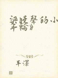 梁晓声的小说《年轮》