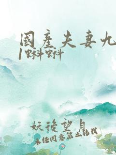 国产夫妻九色91蝌蚪