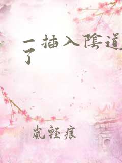 一插入阴道就射了