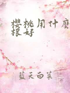 樱桃用什么肥生根好