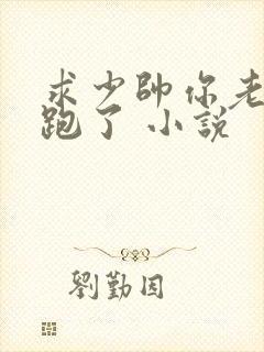 求少帅你老婆又跑了 小说