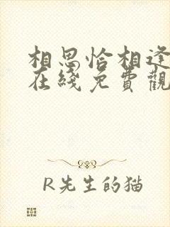 相思恰相逢短剧在线免费观看