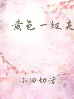 黄色一级夫妻片