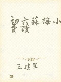 初六苏梅小说免费读