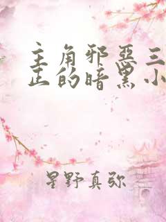 主角邪恶三观不正的暗黑小说